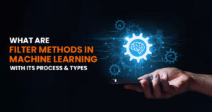 Read more about the article What Are Filter Methods In Machine Learning With Its Process & Types