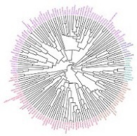 Hierarchical clustering